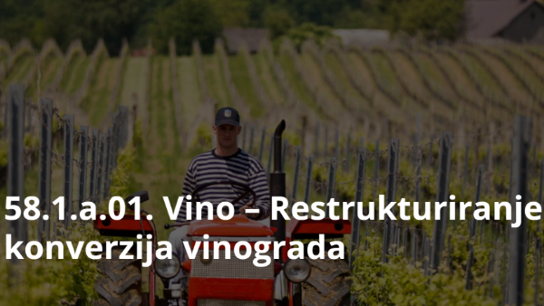 Objavljen Natječaj za podnošenje zahtjeva za potporu za intervenciju “58.1.a.01. – RESTRVINEY – Restrukturiranje i konverzija vinograda“